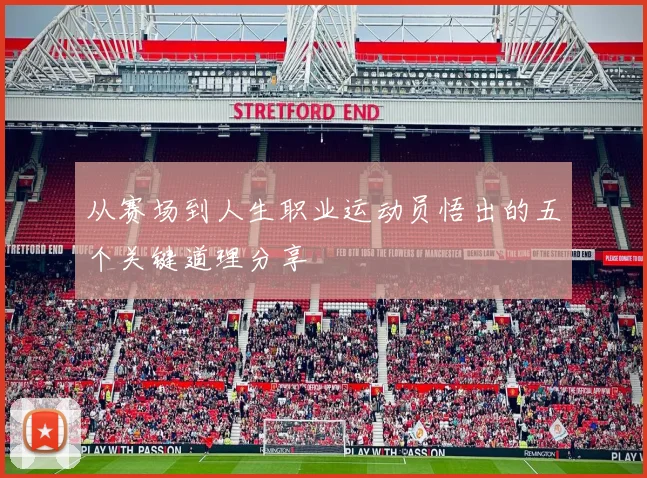 从赛场到人生职业运动员悟出的五个关键道理分享